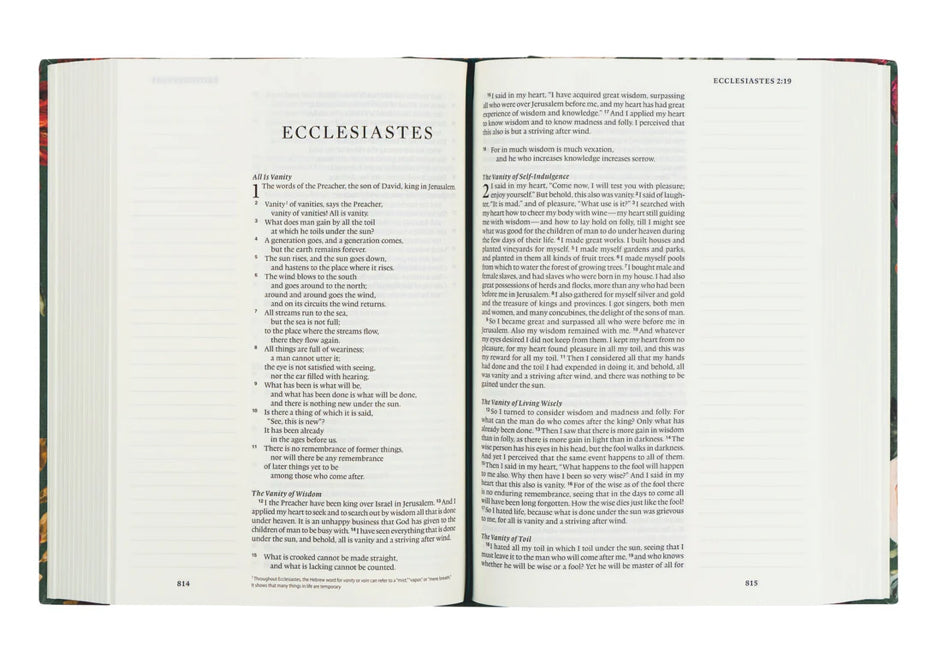 ESV Large Print Journaling Bible