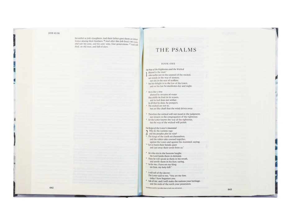 ESV Large Print Journaling Bible