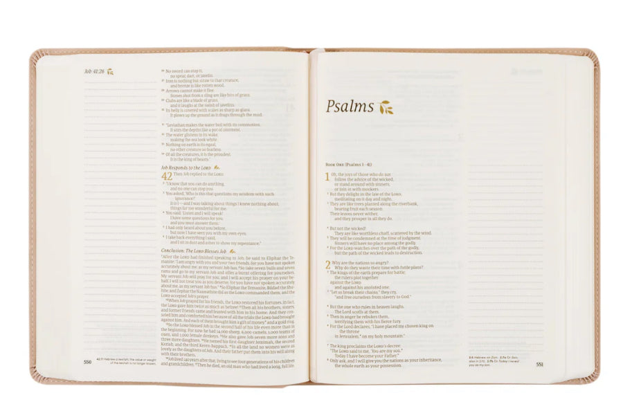 NLT Notetaking Bible