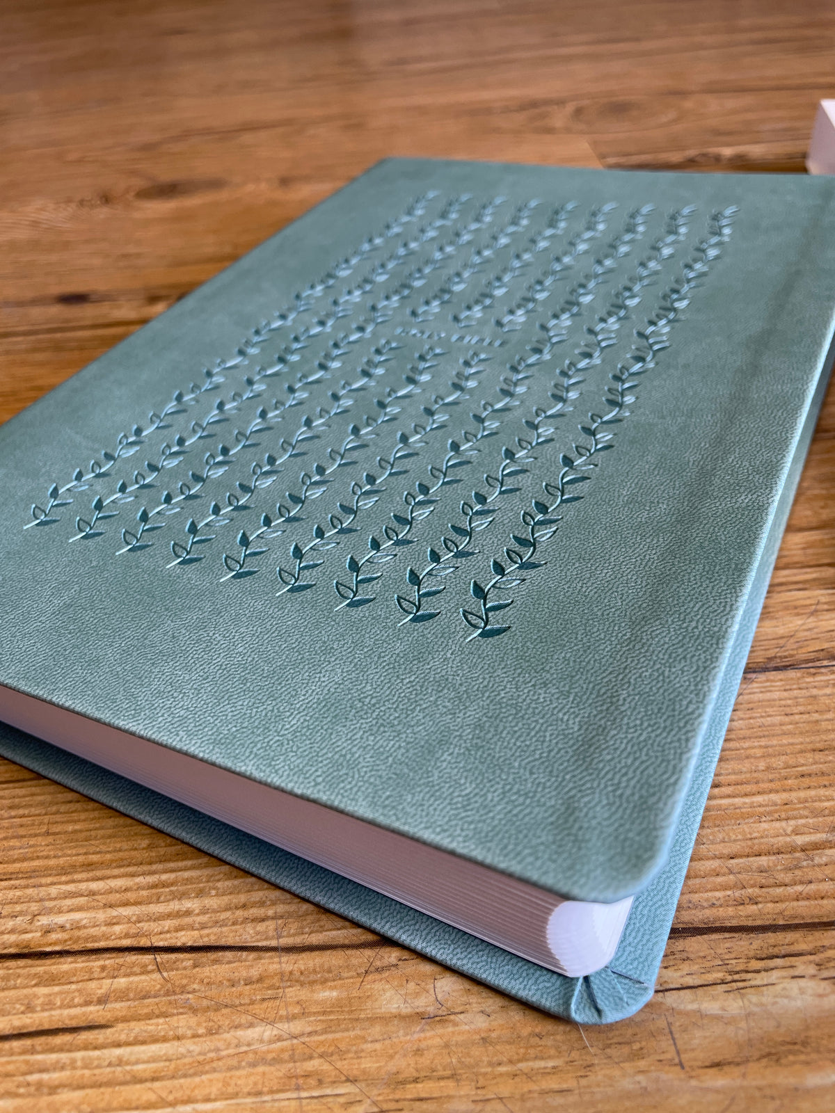 Teal NLT Bible