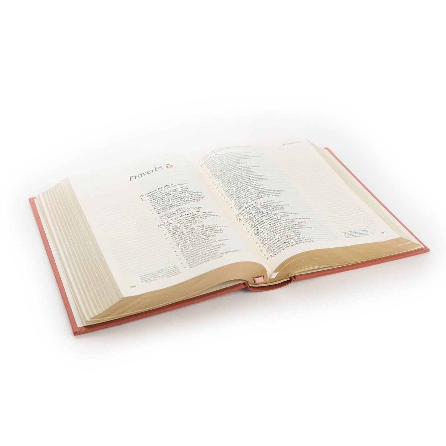 CSB Notetaking Bible