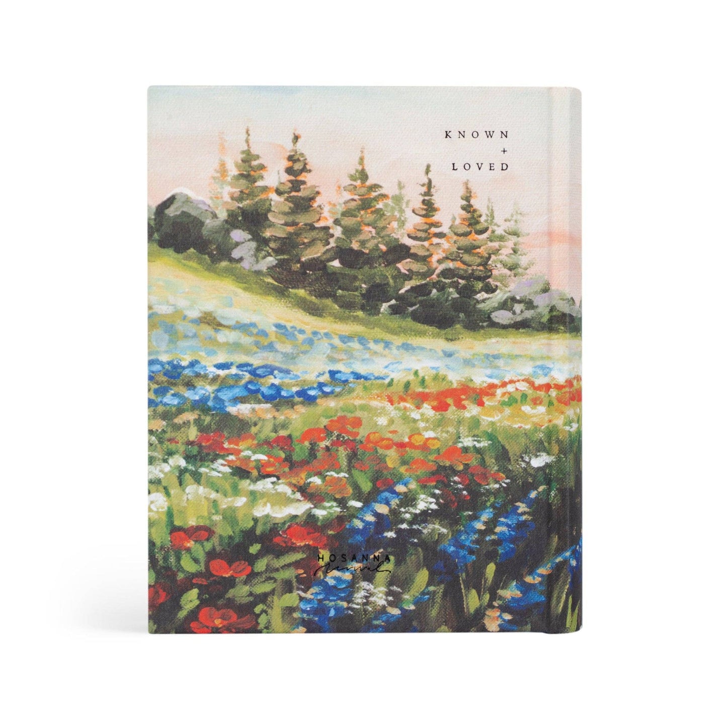 NLT Notetaking Bible