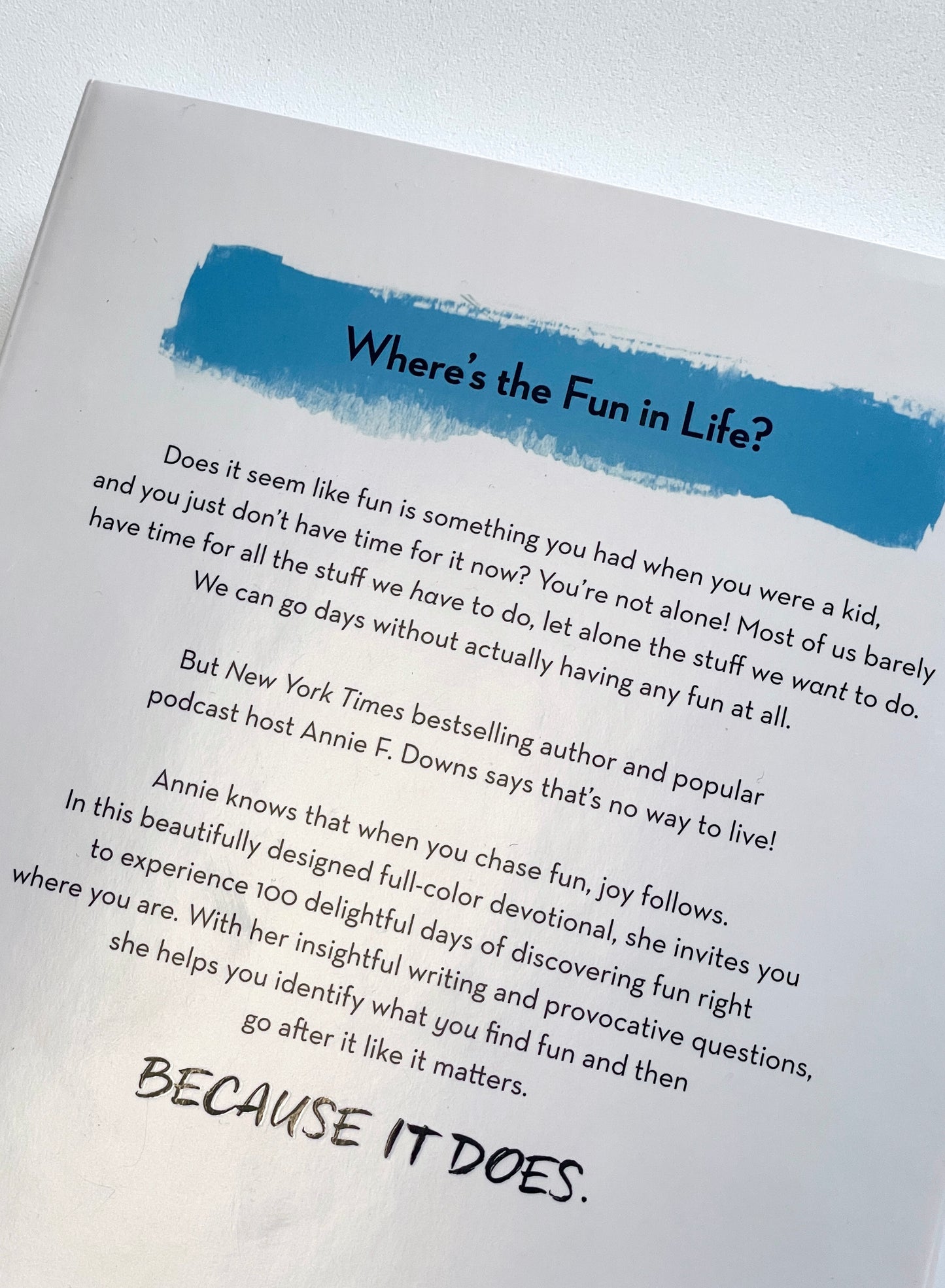 Chase the Fun Book