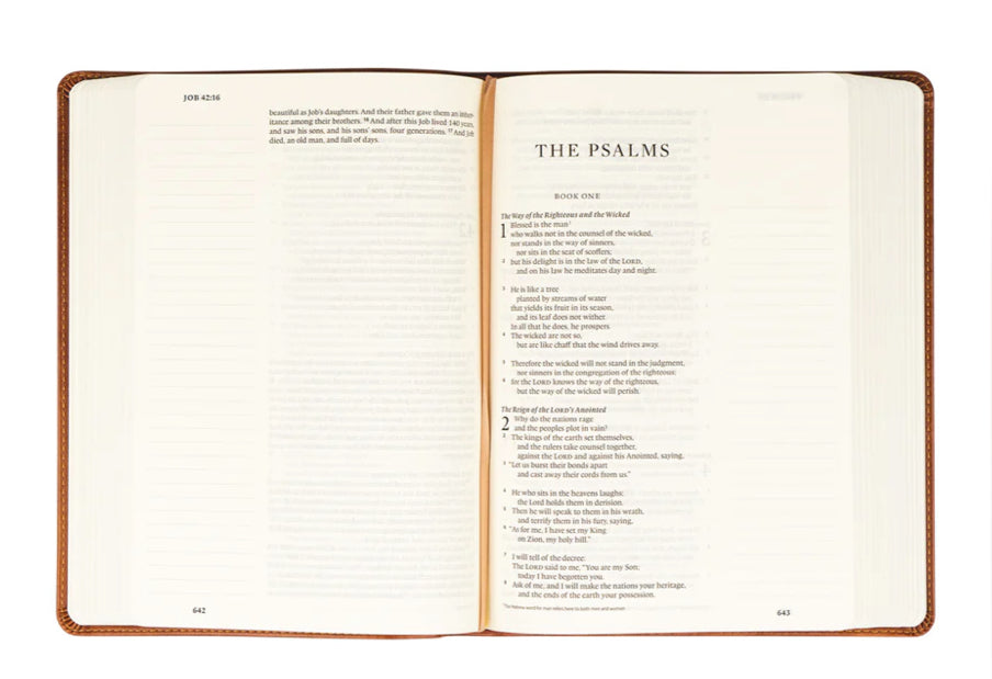 ESV Large Print Journaling Bible