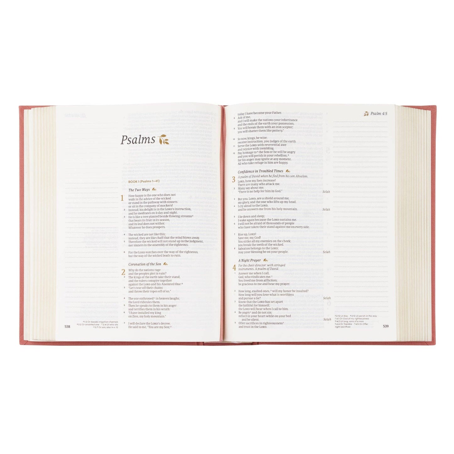 CSB Notetaking Bible