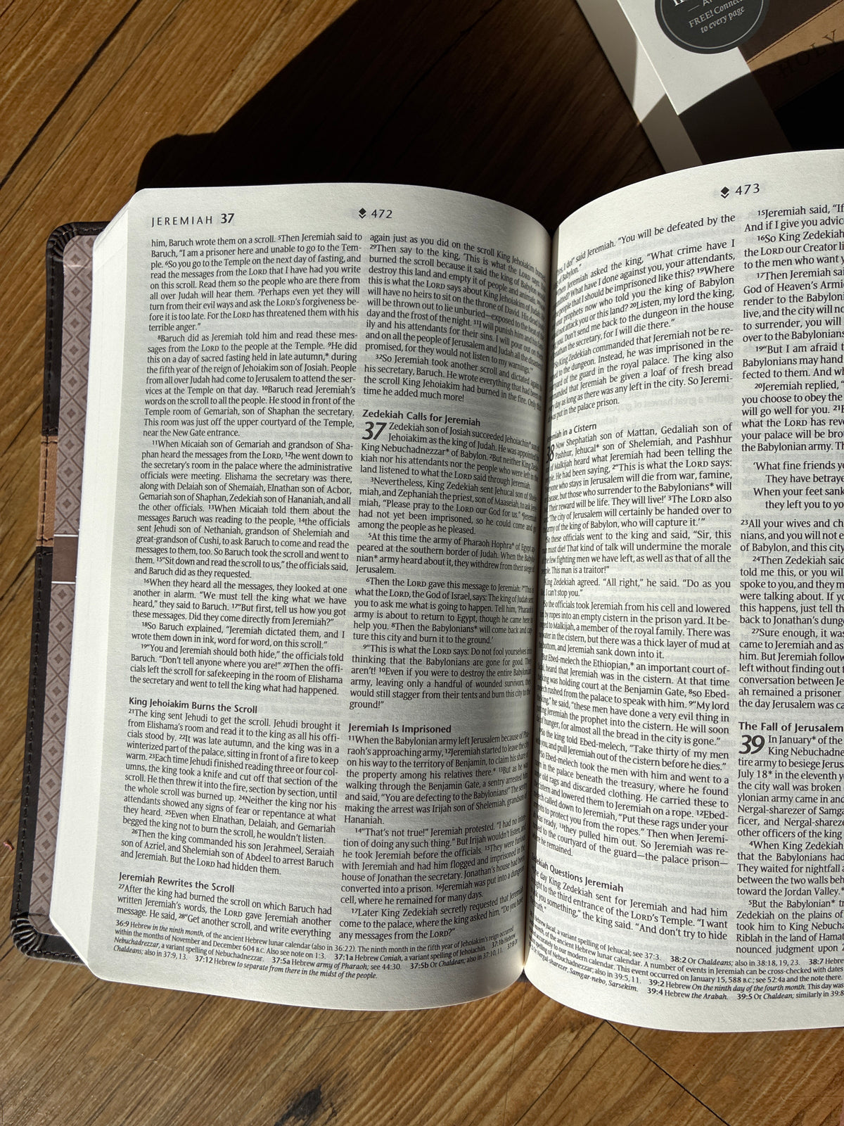 Brown NLT Bible