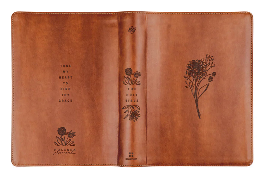 ESV Large Print Journaling Bible