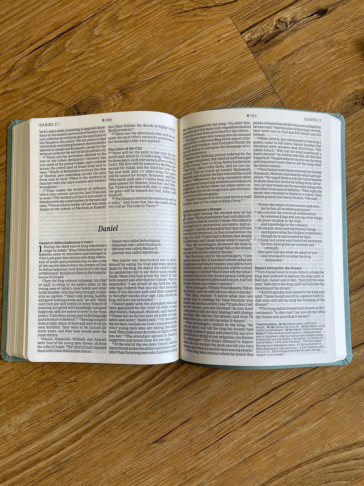 Teal NLT Bible
