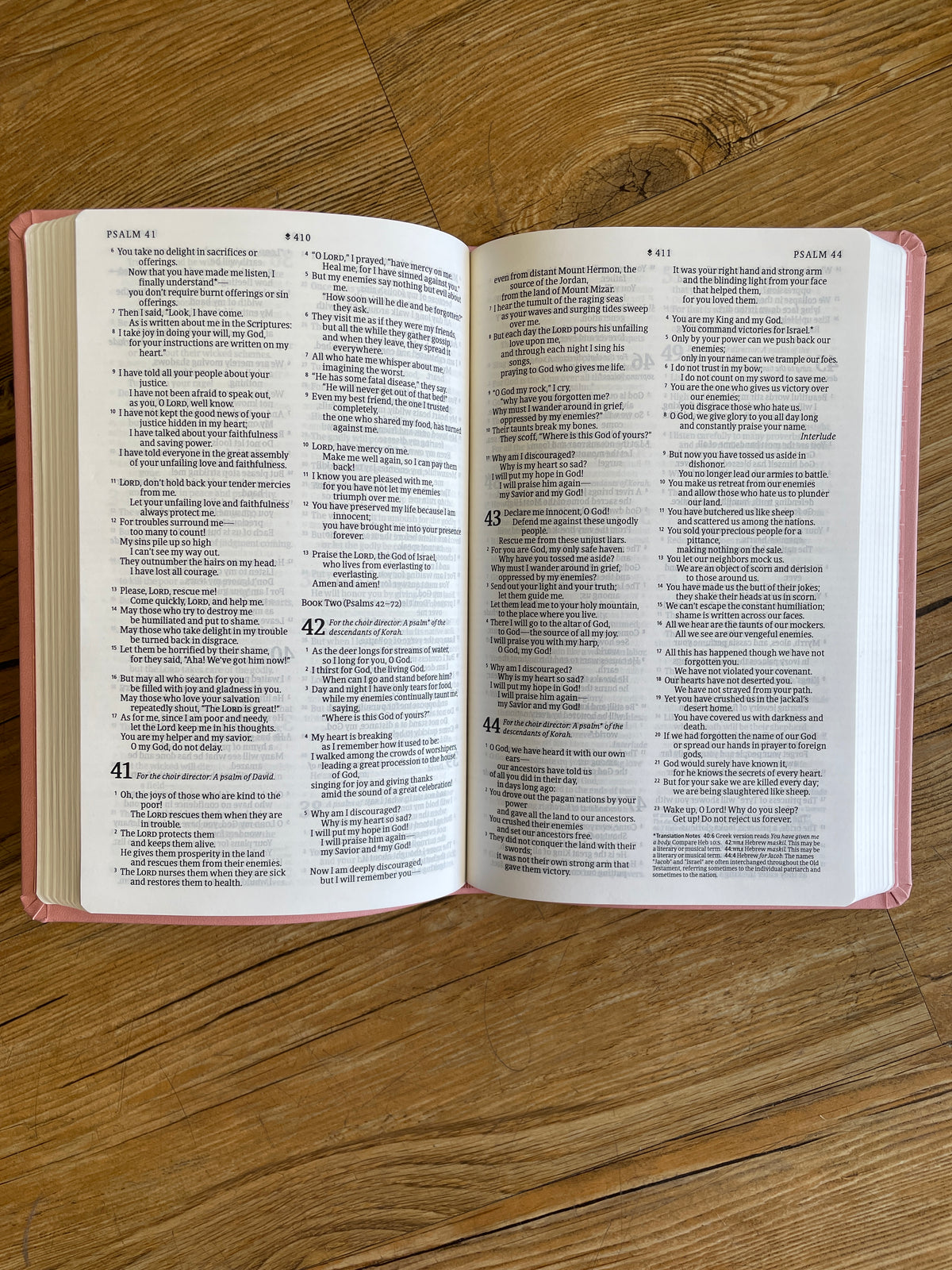 Pink NLT Bible