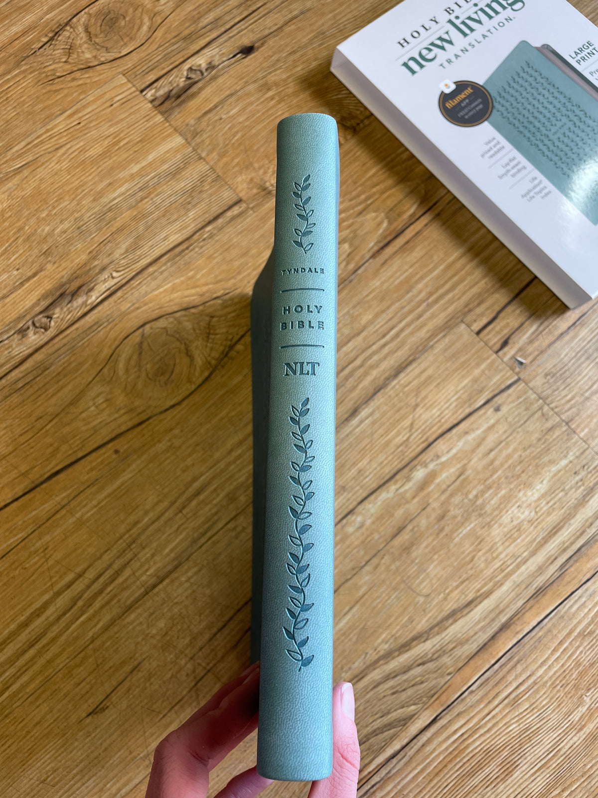 Teal NLT Bible