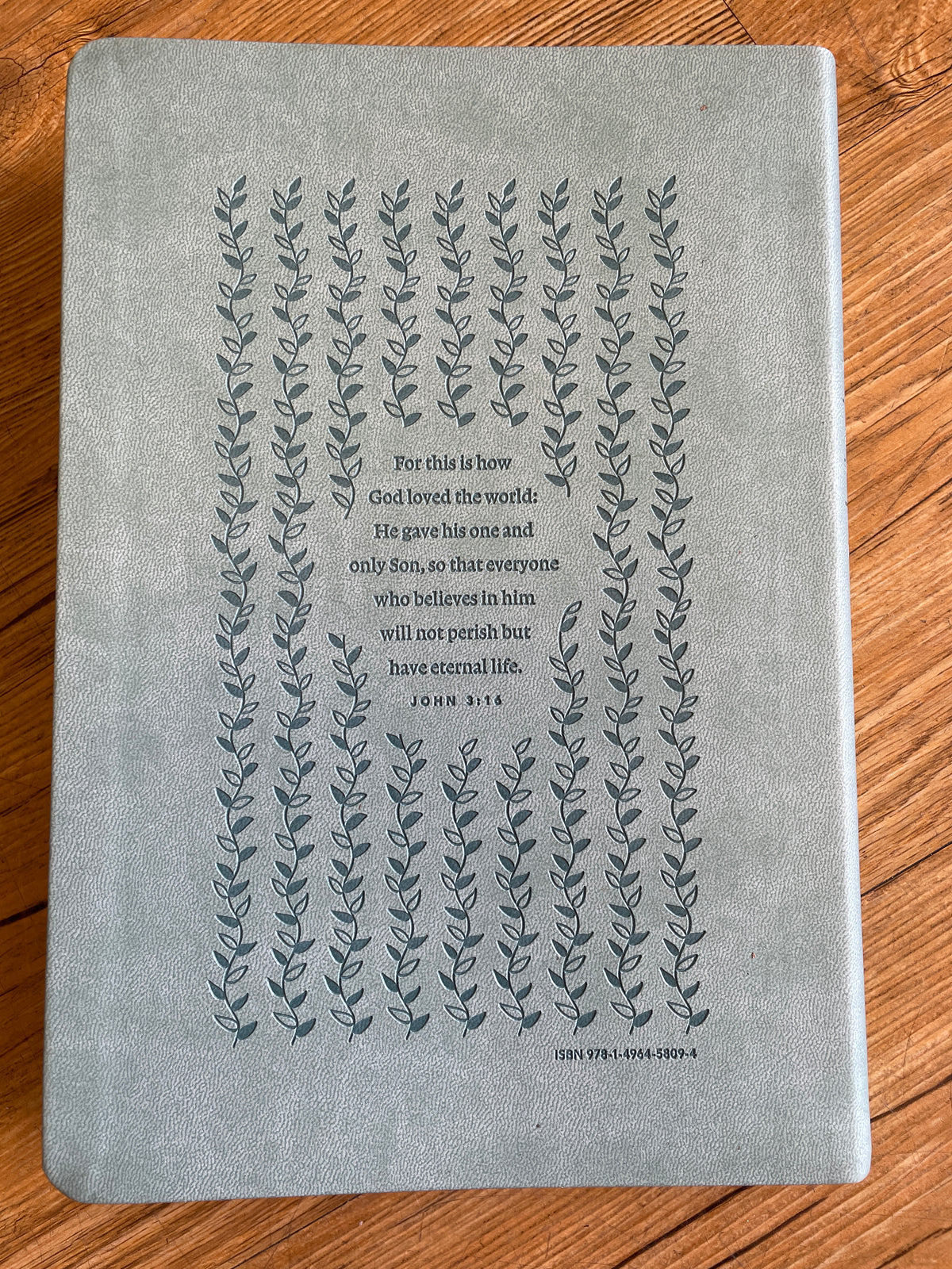 Teal NLT Bible