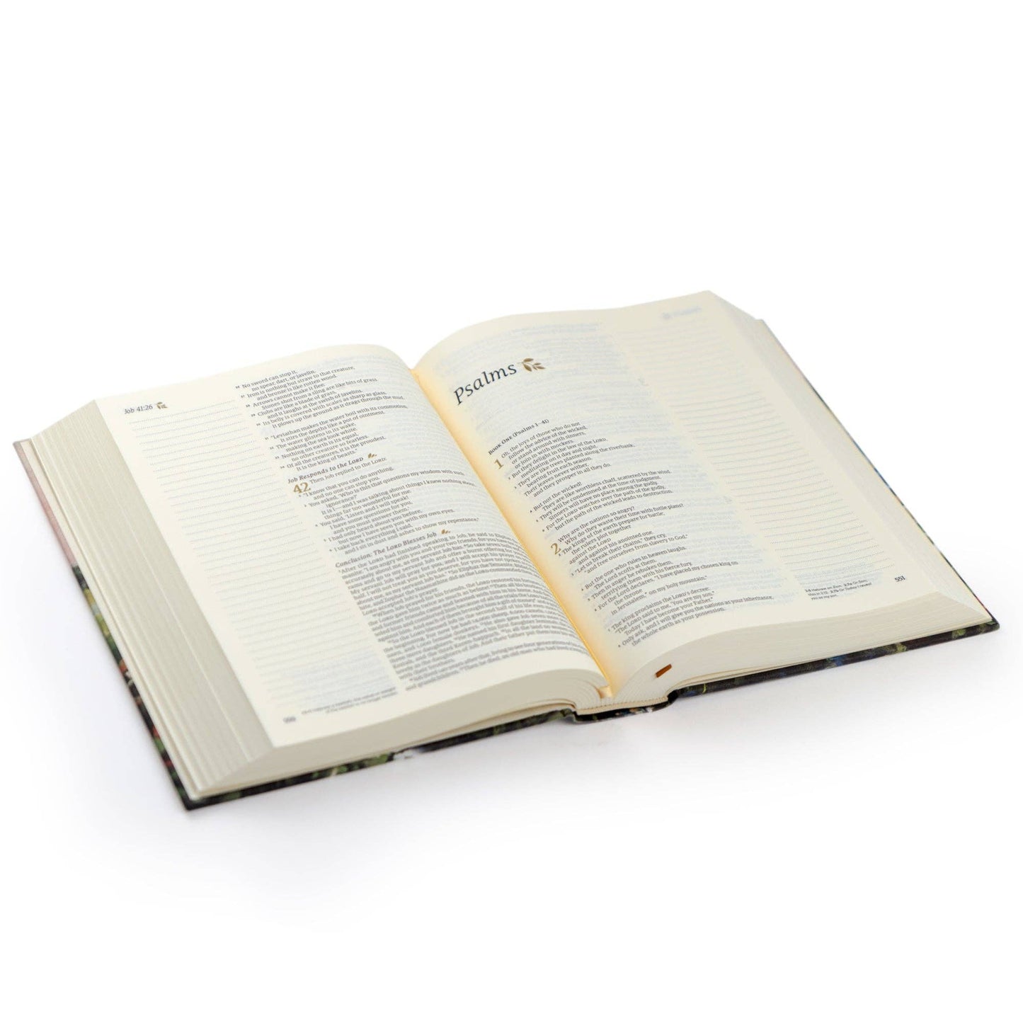 NLT Notetaking Bible