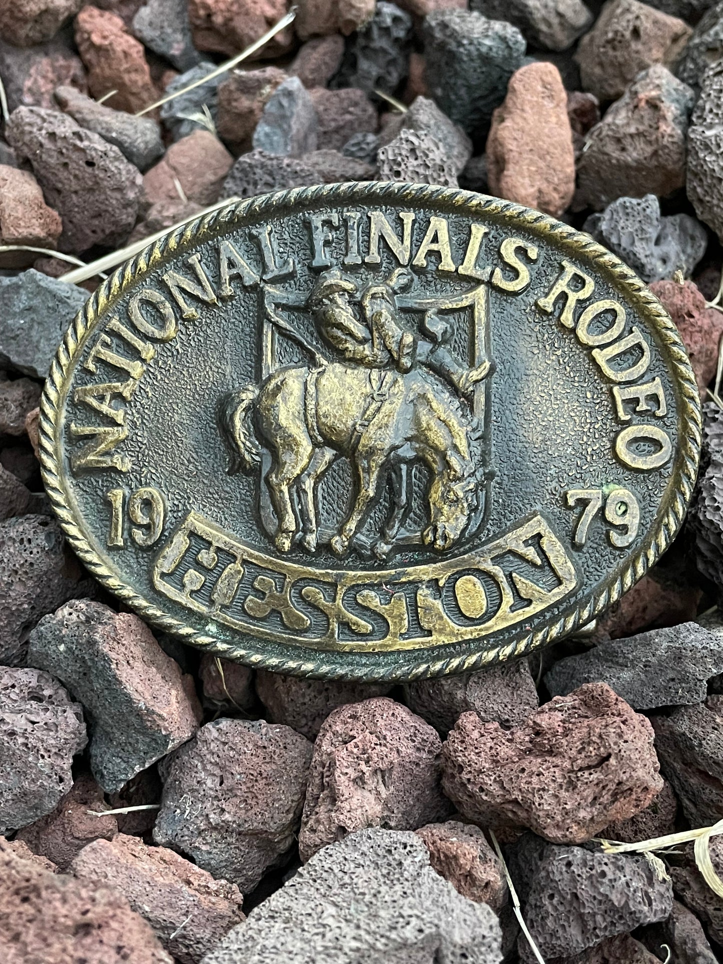 Collectors Hesston Belt Buckle